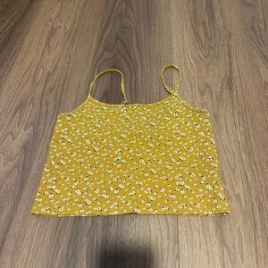 American Eagle Crop Tank